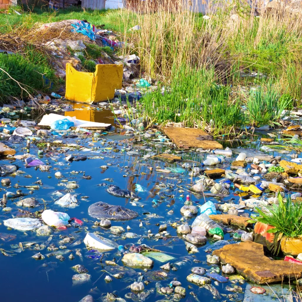 Étendue d'eau remplie de déchets